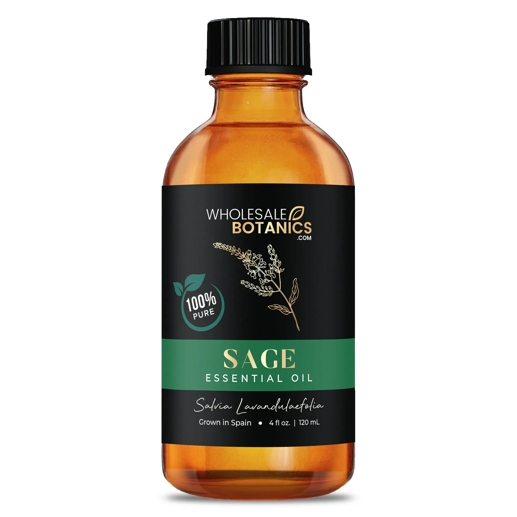 Sage Essential Oil