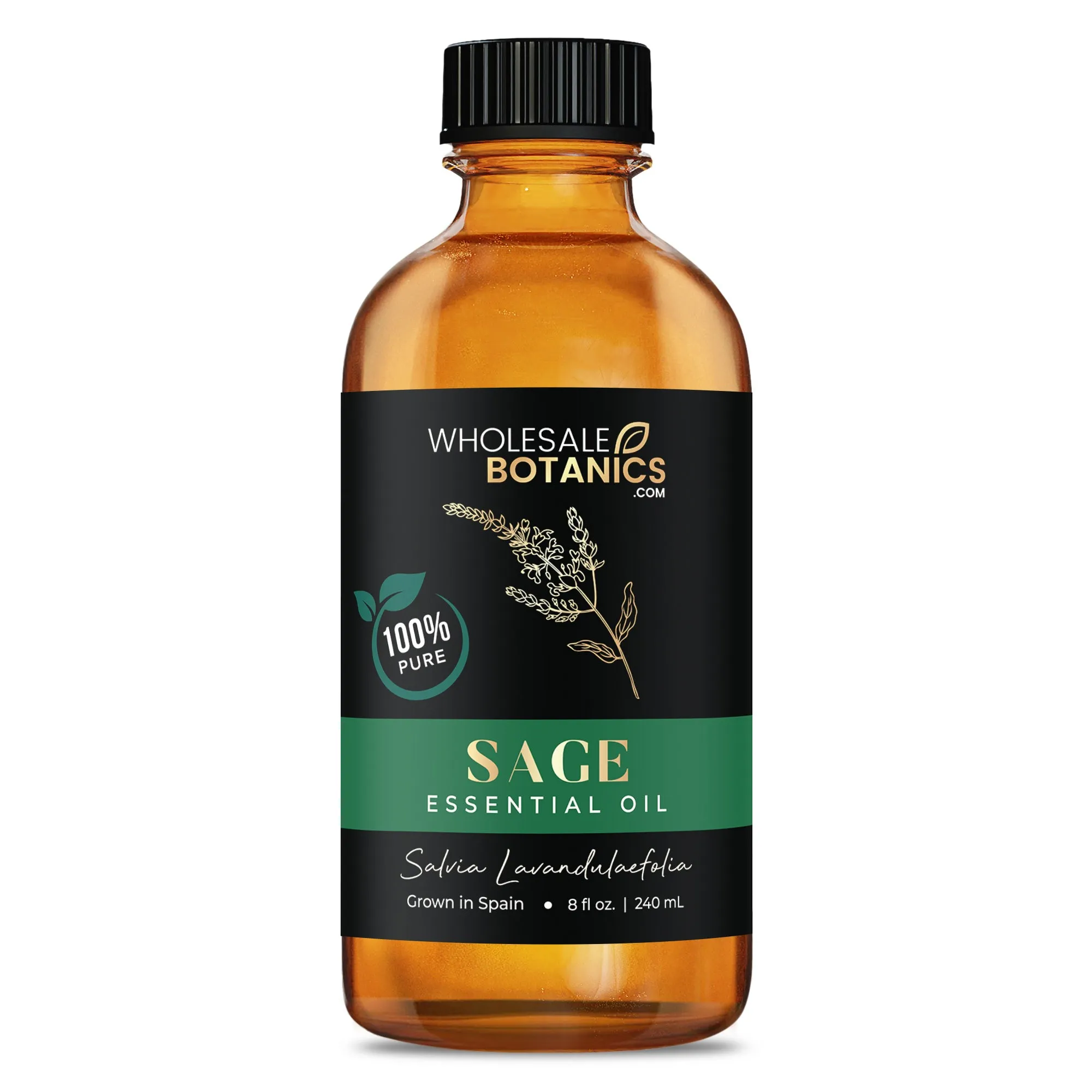 Sage Essential Oil