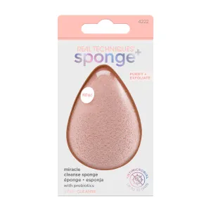 Sponge  Pore Sponge